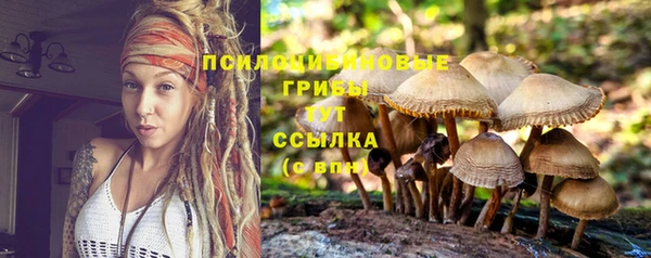 дурь Володарск