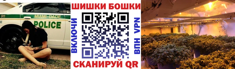 Купить  Тогучин  Каннабис план 